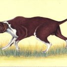 Hunting Dog Miniature Painting Handmade Indian Canine Nature Animal Decor Art