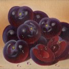 Peruvian Plum Fruit Painting Handmade South American Acrylic Canvas Nature Art