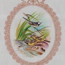 Backyard Sparrow Bird Painting Handmade Indian Nature Decor Ethnic Miniature Art