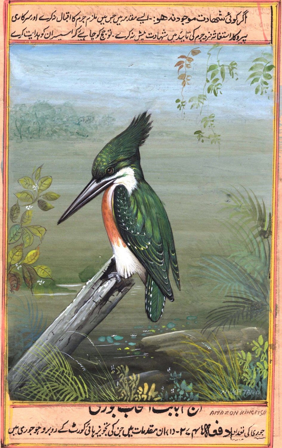 Bird Wall Art Home Decor Handmade Amazon Kingfisher Ethnic Miniature Painting