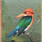 Indian Bird Miniature Painting Handmade Yellow Billed Kingfisher Nature Art