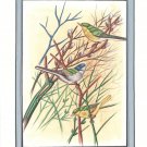 Bird Painting Handmade Watercolor Indian Miniature Ethnic Folk Decor Silk Art