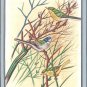 Bird Painting Handmade Watercolor Indian Miniature Ethnic Folk Decor Silk Art