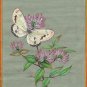 ndian Nature Painting Handmade Watercolor Miniature Wild Life Butterfly Art