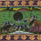 Peacock Bird Miniature Painting Handmade Islamic Nature Ethnic Indo Persian Art