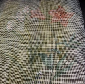 Peach Lilly