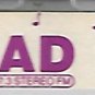 WZAD Music Radio Henry Cotterill  3/28/96  digital download