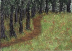 Into the Woods