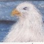 Sea Eagle