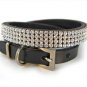 Diamond studded dog collar
