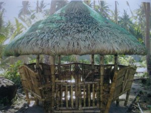 Bahay Kubo