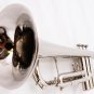 Nickel Trumpet Bb Band Approved + Case + Soft White Gloves