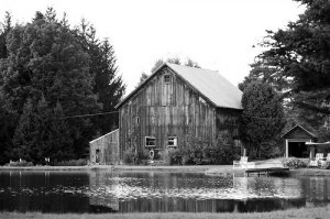 Barn
