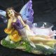 FAIRIES
