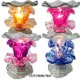 OIL BURNERS