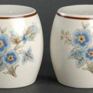 MIKASA Stone Pearls (Peonies) Salt and Pepper Shakers