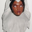MARVEL LEGENDS X-MEN SERIES LOOSE STORM HEAD PIECE ONLY CUSTOM FODDER HASBRO TARGET EXCLUSIVE 2020 M MARVEL LEGENDS X-MEN SERIES LOOSE STORM HEAD PIECE ONLY CUSTOM FODDER HASBRO TARGET EXCLUSIVE 2020 M