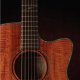 Acoustic Guitars