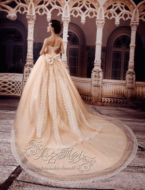 custom made WEDDING Dress bridal dress lace beaded +TRAIN champagne