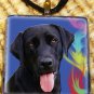 Black Lab