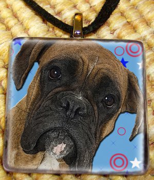 Boxer Blue