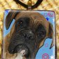 Boxer Blue