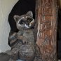 Welcome Raccoon