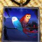 Blue and Red Owl