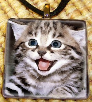 Open Mouthed Kitten