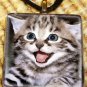 Open Mouthed Kitten