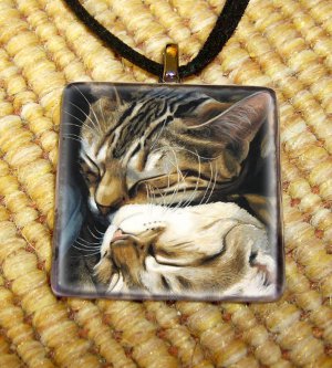 Cat in a mirror pendant