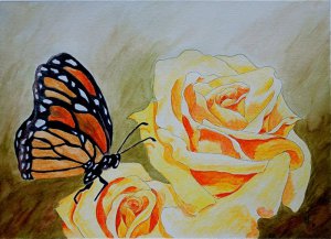 Butterfly Effect Watercolor on paper 11x15