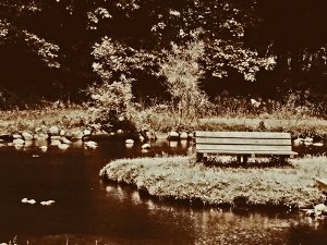 Lonely Bench 16x20 Gallery Wrapped Canvas