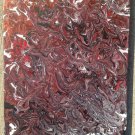 Fall Fusion - 16x20 Canvas