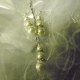 Bridal Jewelry