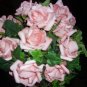 GORGEOUS SOFT PINK ROSES AND IVY BOUQUET!!