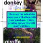 Picture-Word Cards for From Head to Toe by Eric Carle 12 Animal Photos and 10 Actions with Words PDF