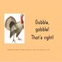 Let's See What I Know about Wild Turkeys!
