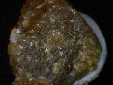 Beautiful Burbankite thumbnail specimen