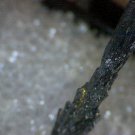Beautiful Stibnite specimen