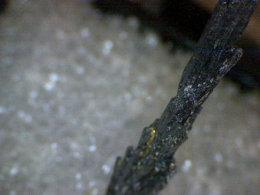 Beautiful Stibnite specimen
