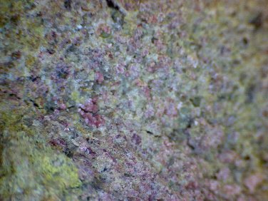 Beautiful Erythrite specimen