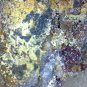 Beautiful Krasnoite Meurigite, Carminite specimen