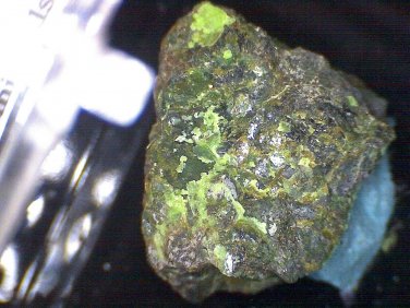 Beautiful Pecoraite specimen