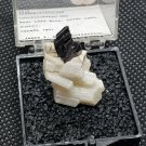 Beautiful Sphene on Scapolite specimen