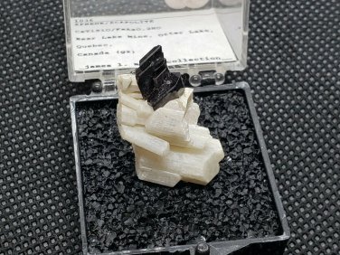 Beautiful Sphene on Scapolite specimen
