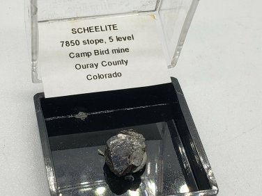 Beautiful Scheelite specimen
