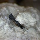 Beautiful Rare Pseudobrookite specimen