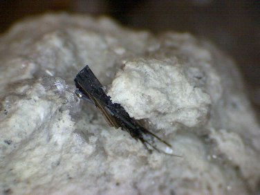 Beautiful Rare Pseudobrookite specimen