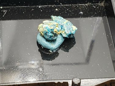 Rare Caledonite thumbnail specimen